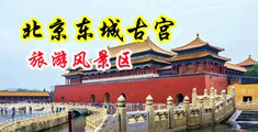 骚货被插视频中国北京-东城古宫旅游风景区